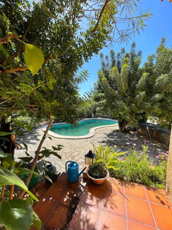 Castellón de la Plana Villa La Torreta Ref 056 מראה חיצוני תמונה